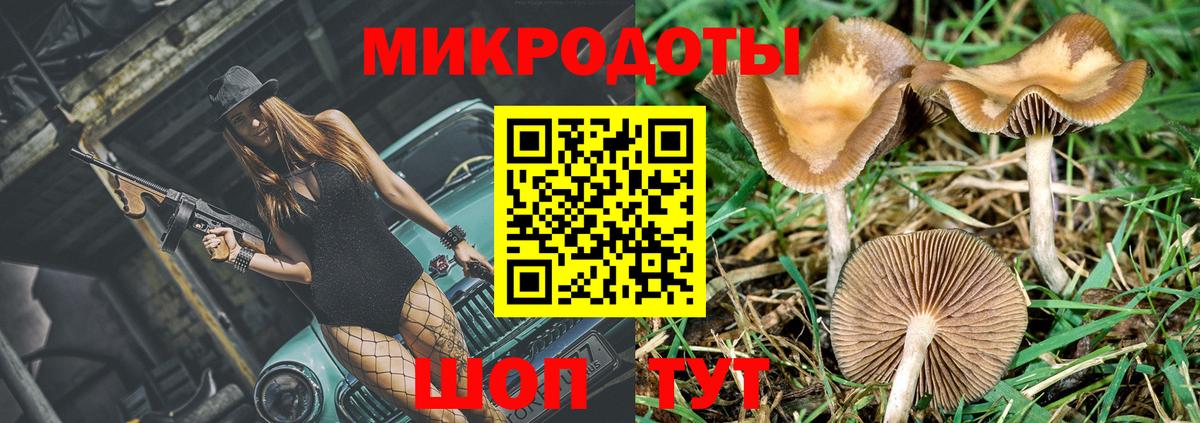 Нижний Новгород  Галлюциногенные грибы Psilocybine cubensis  Галлюциногенные грибы прущие грибы  Вход с VPN 
