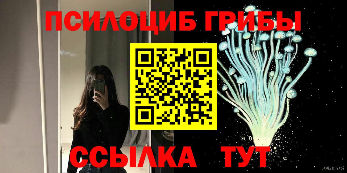 Галлюциногенные грибы MAGIC MUSHROOMS Нижний Новгород
